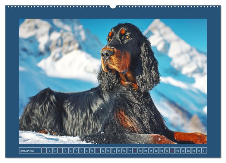 Produktbild: Gordon Setter. Edle Seelen in der Natur (Wandkalender 2026 DIN A2 quer), CALVENDO Monatskalender