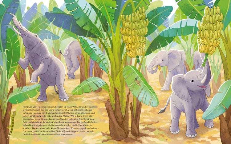 Produktbild: Der kleine Waldelefant - Zu Hause in Afrika