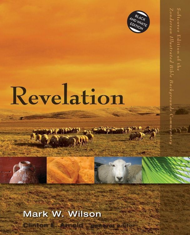 Produktbild: The Revelation