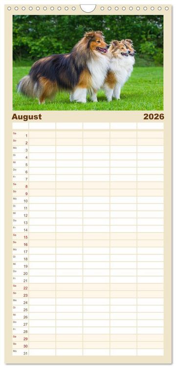 Produktbild: Familienplaner 2026 - Sheltie - Ein St&uuml;ck vom Gl&uuml;ck mit 5 Spalten (Wandkalender, 21 x 45 cm) CALVENDO
