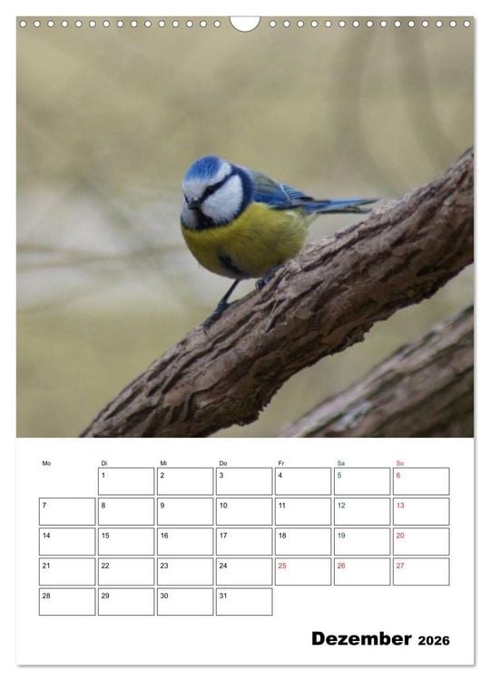 Produktbild: Heimische Singv&ouml;gel (Wandkalender 2026 DIN A3 hoch), CALVENDO Monatskalender
