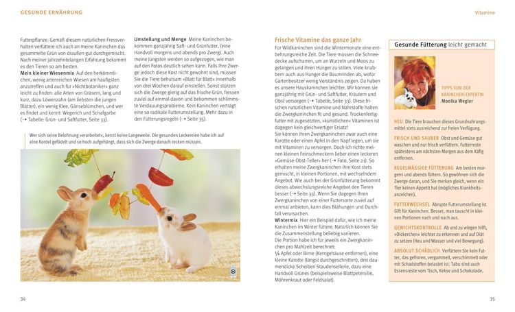 Produktbild: Zwergkaninchen