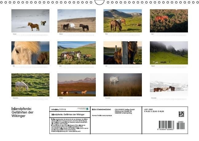 Produktbild: Islandpferde: Gef&auml;hrten der Wikinger (Wandkalender immerw&auml;hrend DIN A3 quer)