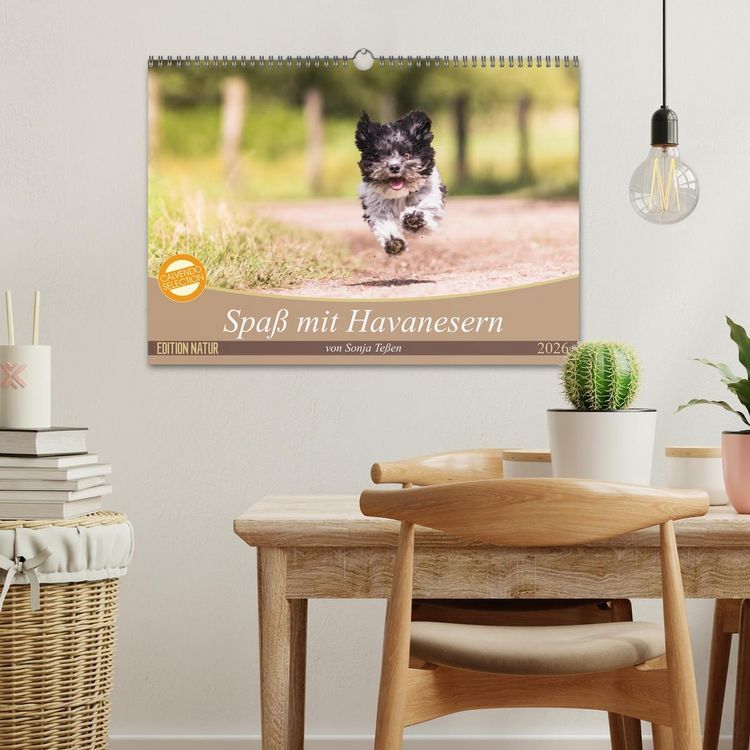 Produktbild: Spa&szlig; mit Havanesern (Wandkalender 2026 DIN A3 quer), CALVENDO Monatskalender