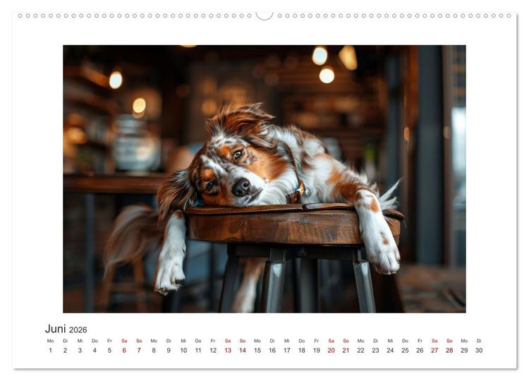 Produktbild: Einfach mal abh&auml;ngen (hochwertiger Premium Wandkalender 2026 DIN A2 quer), Kunstdruck in Hochglanz