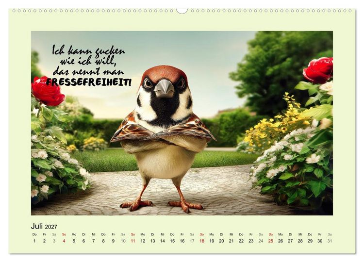 Produktbild: Kesse Spatzen (Wandkalender 2027 DIN A2 quer), CALVENDO Monatskalender