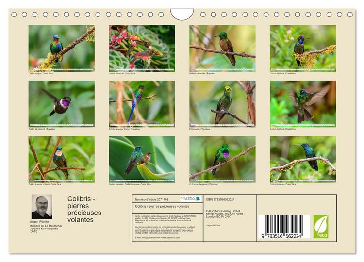 Produktbild: Colibris - pierres pr&eacute;cieuses volantes (Calendrier mural 2026 DIN A4 vertical), CALVENDO calendrier mensuel