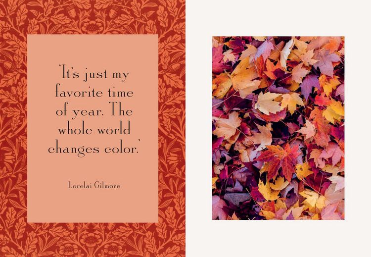 Produktbild: Fall into Fall