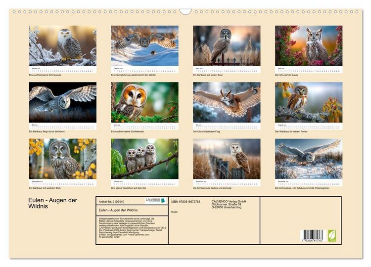 Produktbild: Eulen - Augen der Wildnis (Wandkalender 2026 DIN A2 quer), CALVENDO Monatskalender