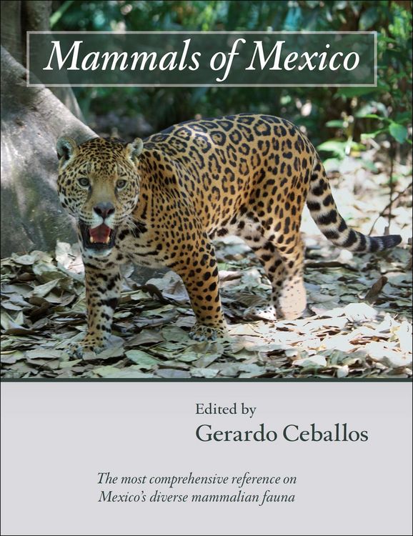 Produktbild: Mammals of Mexico