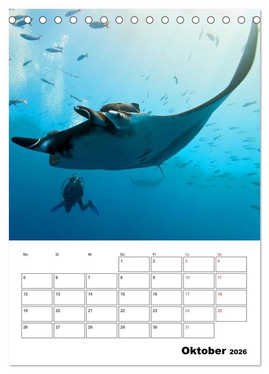 Produktbild: Tauchen - Abtauchen und Staunen (Tischkalender 2026 DIN A5 hoch), CALVENDO Monatskalender