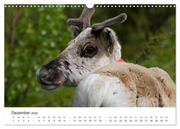Produktbild: Naturparadies Finnland (Wandkalender 2026 DIN A3 quer), CALVENDO Monatskalender