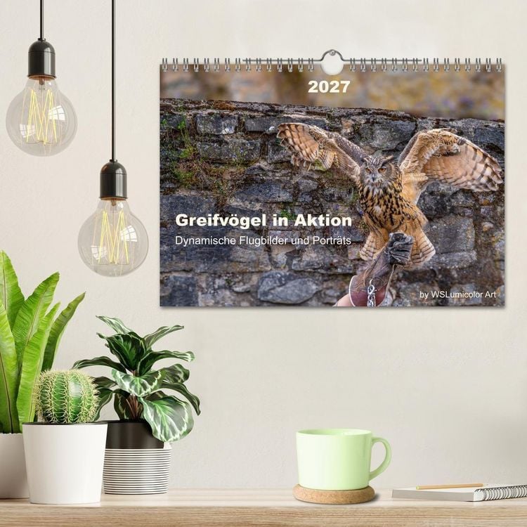 Produktbild: Greifv&ouml;gel in Aktion - Dynamische Flugbilder und Portr&auml;ts (Wandkalender 2027 DIN A4 quer), CALVENDO Monatskalender