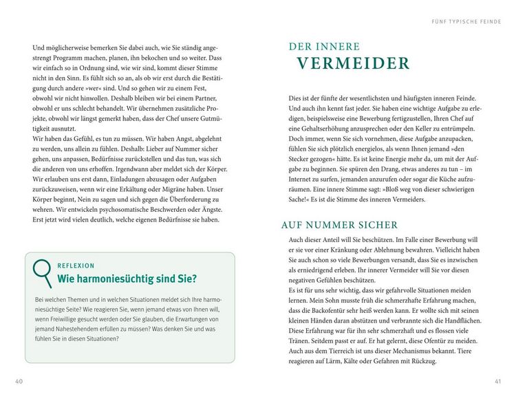 Produktbild: Der Feind in meinem Kopf
