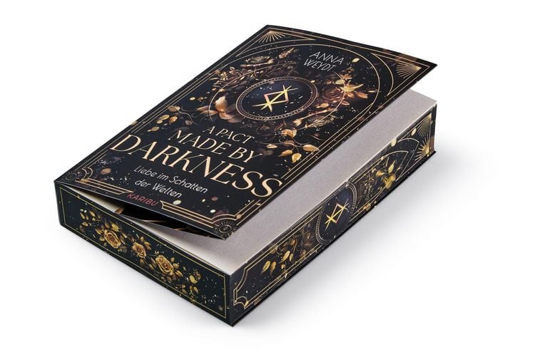 Produktbild: A Pact Made by Darkness &ndash; Liebe im Schatten der Welten