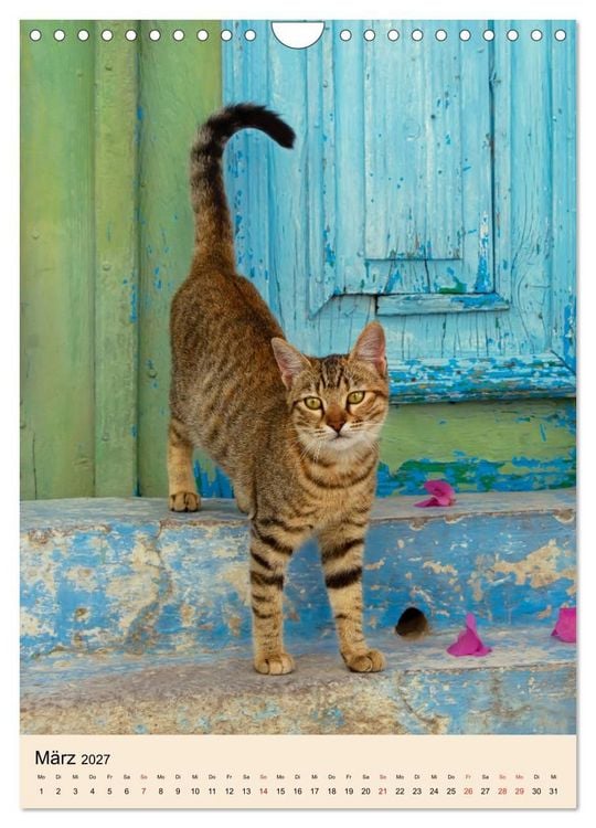 Produktbild: Katzen von Rhodos (Wandkalender 2027 DIN A4 hoch), CALVENDO Monatskalender