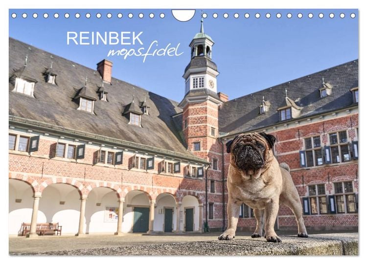 Produktbild: Reinbek mopsfidel (Wandkalender 2026 DIN A4 quer), CALVENDO Monatskalender