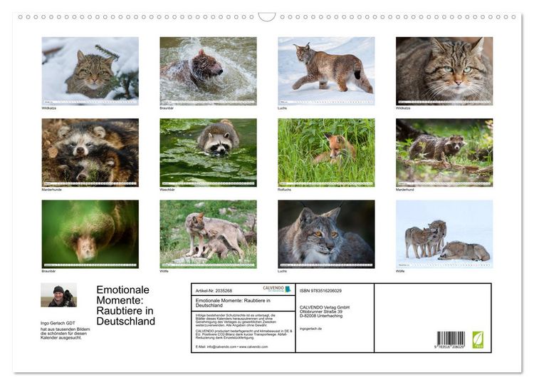 Produktbild: Emotionale Momente: Raubtiere in Deutschland (Wandkalender 2026 DIN A2 quer), CALVENDO Monatskalender