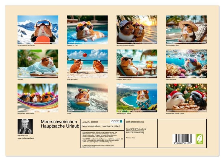 Produktbild: Meerschweinchen - Hauptsache Urlaub (Wandkalender 2026 DIN A3 quer), CALVENDO Monatskalender