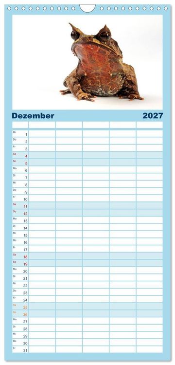 Produktbild: Familienplaner 2027 - Farbenpracht der Fr&ouml;sche mit 5 Spalten (Wandkalender, 21 x 45 cm) CALVENDO