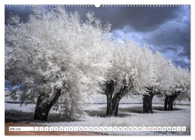 Produktbild: Zauberhafte Infrarot-Fotografie (hochwertiger Premium Wandkalender 2026 DIN A2 quer), Kunstdruck in Hochglanz