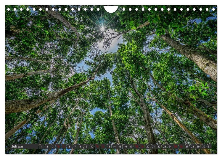 Produktbild: Karibu Sansibar (Wandkalender 2026 DIN A4 quer), CALVENDO Monatskalender