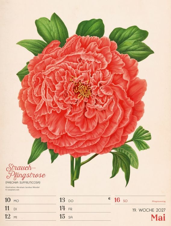Produktbild: Ars Floralis Wochenplaner Kalender 2027