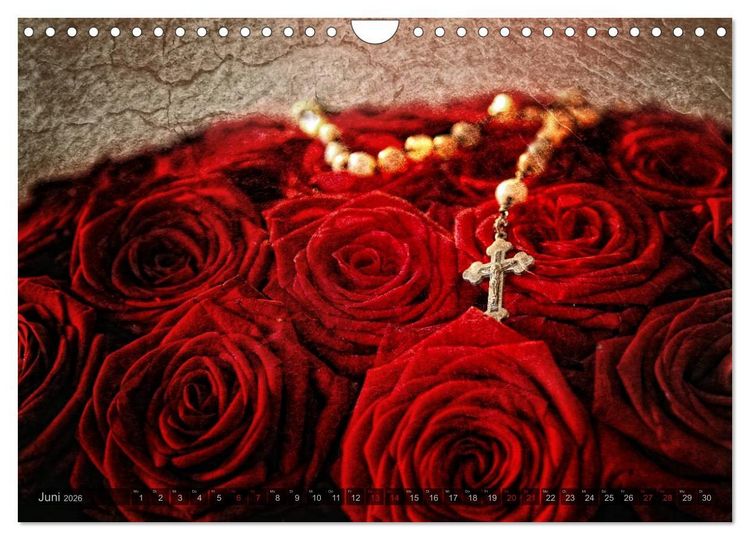Produktbild: Gothic Rose - Rosen aus dem Garten der Finsternis (Wandkalender 2026 DIN A4 quer), CALVENDO Monatskalender