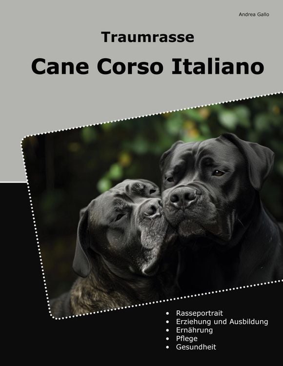 Produktbild: Traumrasse Cane Corso Italiano