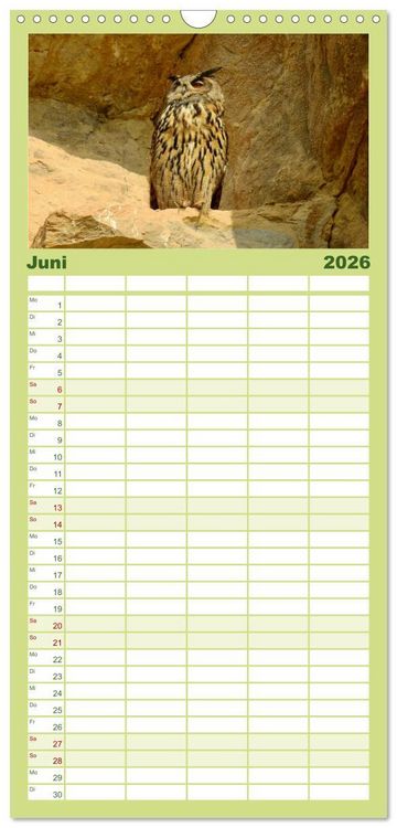 Produktbild: Familienplaner 2026 - Heimische V&ouml;gel mit 5 Spalten (Wandkalender, 21 x 45 cm) CALVENDO