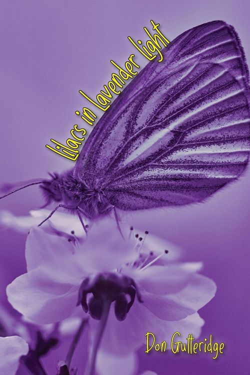 Produktbild: Lilacs in Lavender Light