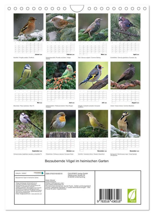 Produktbild: Bezaubernde V&ouml;gel im heimischen Garten (Wandkalender 2026 DIN A4 hoch), CALVENDO Monatskalender