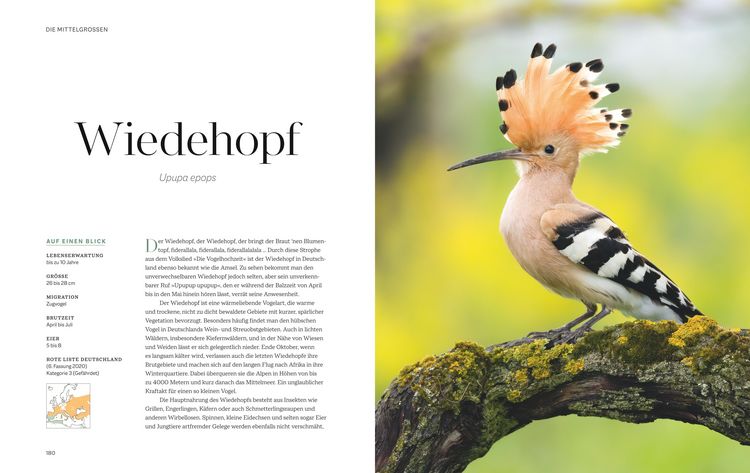 Produktbild: Die magische Welt unserer V&ouml;gel