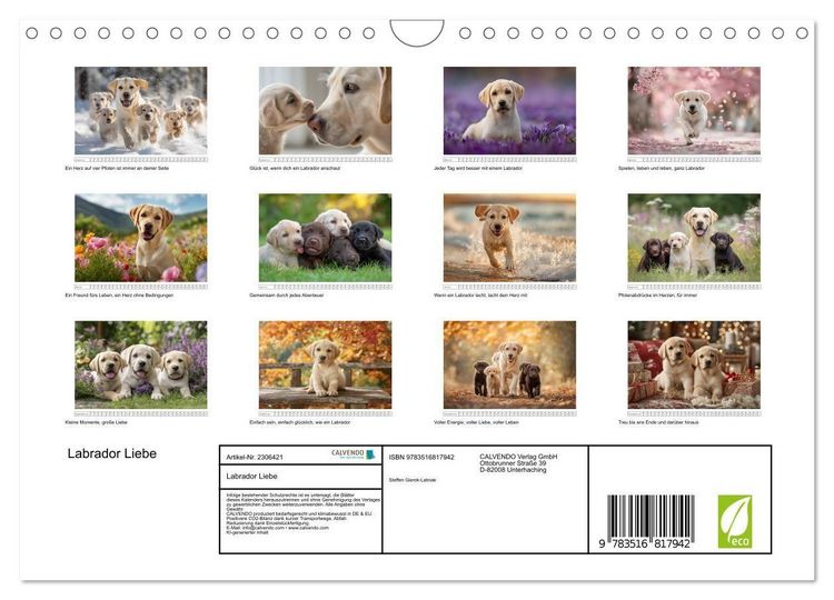 Produktbild: Labrador Liebe (Wandkalender 2027 DIN A4 quer), CALVENDO Monatskalender