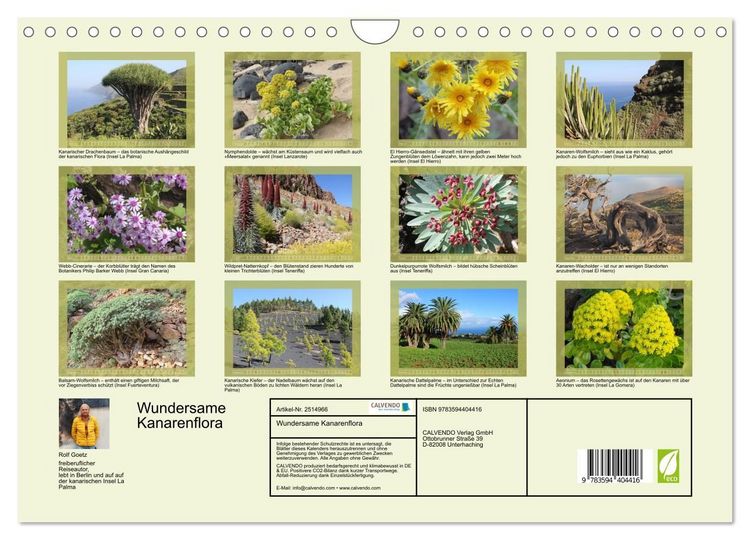 Produktbild: Wundersame Kanarenflora (Wandkalender 2027 DIN A4 quer), CALVENDO Monatskalender