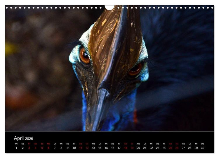 Produktbild: Australian Wildlife (Wandkalender 2026 DIN A3 quer), CALVENDO Monatskalender