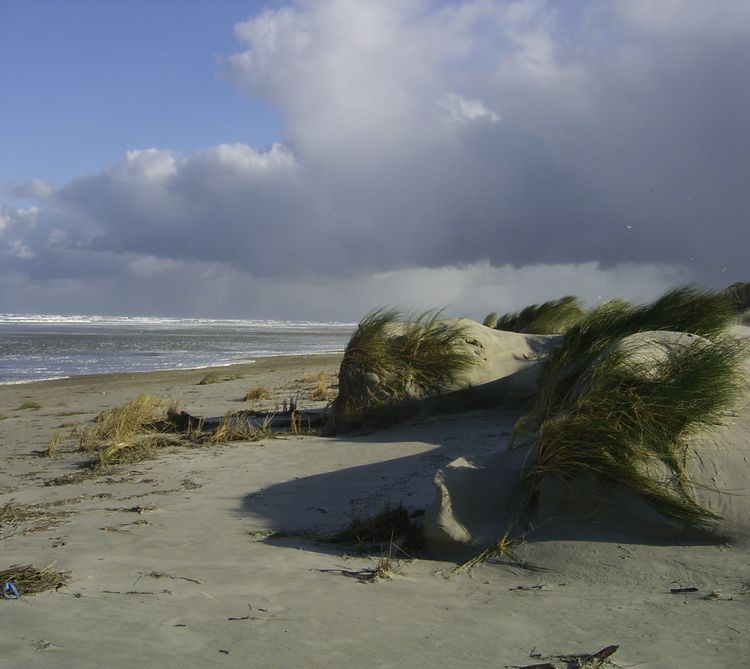 Produktbild: Juist, mehr als nur Sand