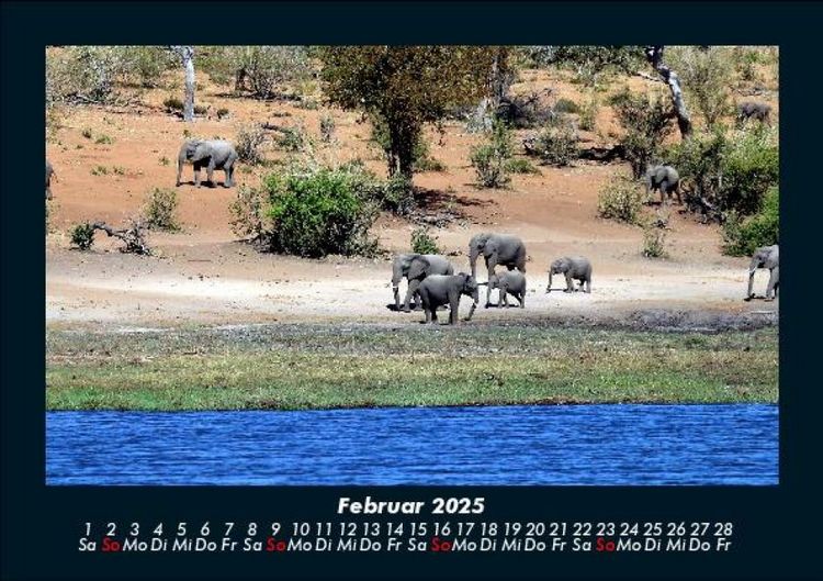 Produktbild: Elefanten - Die sanften Riesen Afrikas 2025 Fotokalender DIN A5