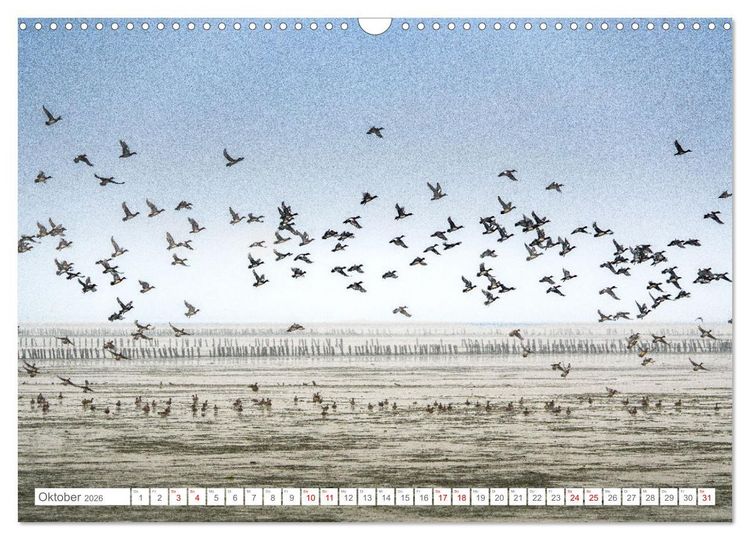 Produktbild: Naturerlebnis R&oslash;m&oslash; (Wandkalender 2026 DIN A3 quer), CALVENDO Monatskalender