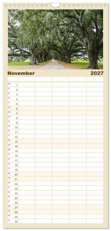 Produktbild: Familienplaner 2027 - Louisiana - S&uuml;mpfe und Plantagenh&auml;user mit 5 Spalten (Wandkalender, 21 x 45 cm) CALVENDO