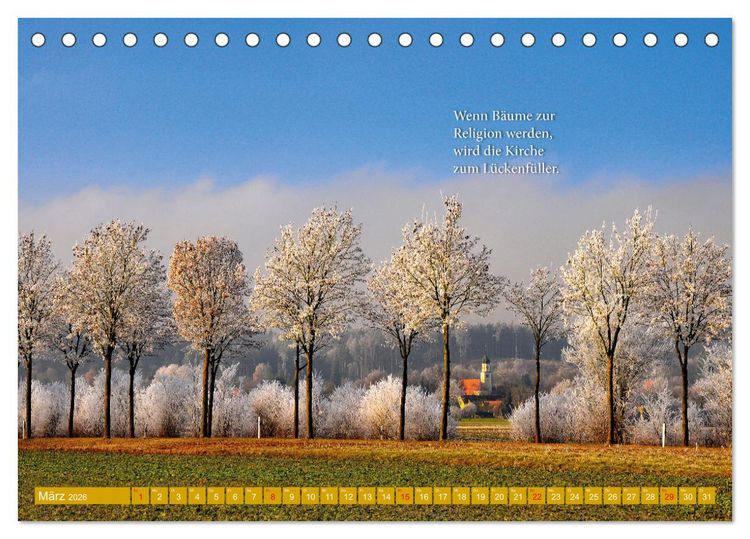 Produktbild: Rollentausch &ndash; Bebilderte Wortspielereien (Tischkalender 2026 DIN A5 quer), CALVENDO Monatskalender