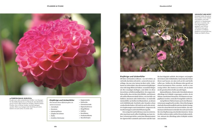 Produktbild: Gartentr&auml;ume