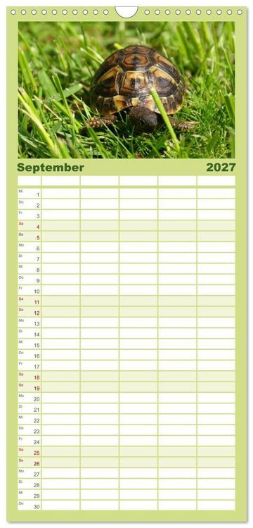 Produktbild: Familienplaner 2027 - Das Leben der Schildkr&ouml;ten mit 5 Spalten (Wandkalender, 21 x 45 cm) CALVENDO