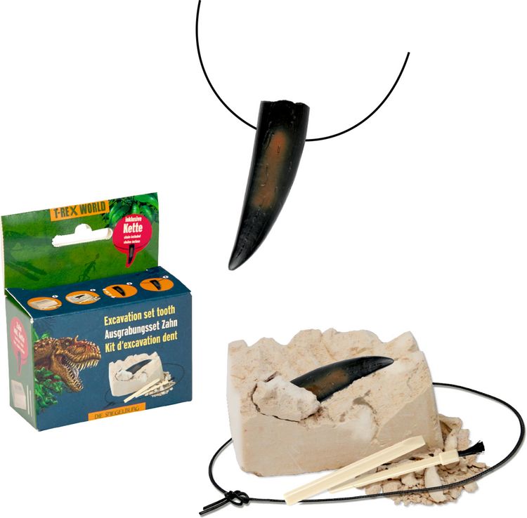 Produktbild: Mini Ausgrabungsset - Kette / T-Rex World