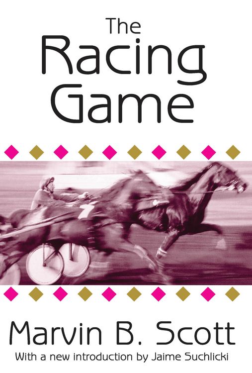 Produktbild: The Racing Game