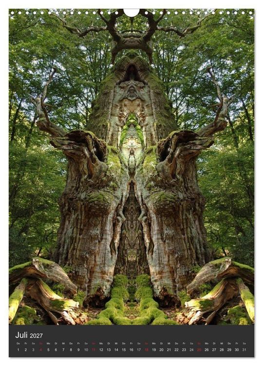 Produktbild: Spiegelwelten - Das Tor zur Anderswelt (Wandkalender 2027 DIN A3 hoch), CALVENDO Monatskalender