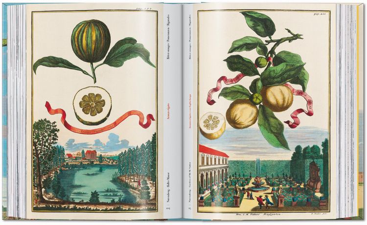 J. C. Volkamer. The Book of Citrus Fruits. 45th Ed.