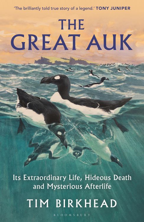 Produktbild: The Great Auk