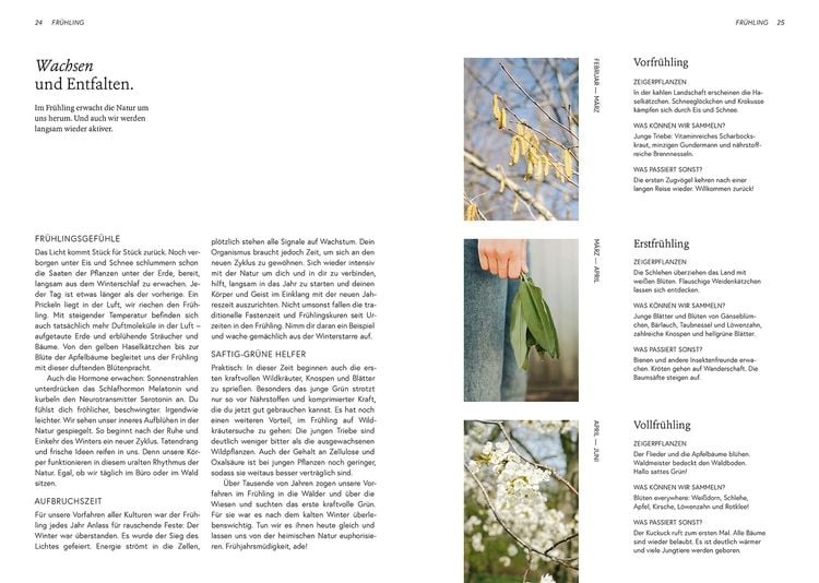 Produktbild: Kruut - Wildpflanzen im Alltag