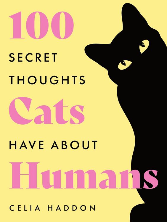 Produktbild: One Hundred Secret Thoughts Cats have about Humans
